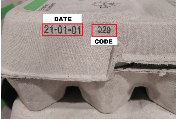 Example (best before date and lot code)