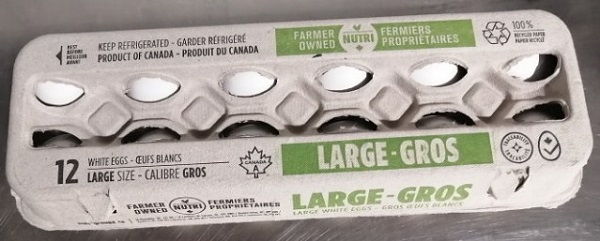 Nutri – Large white eggs – 12 eggs