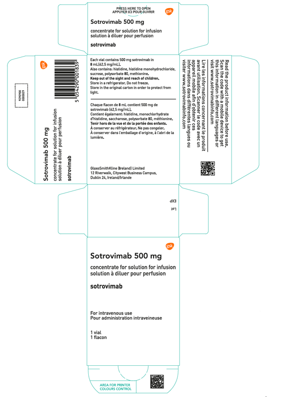 Appendix A - European French/English Carton Label 