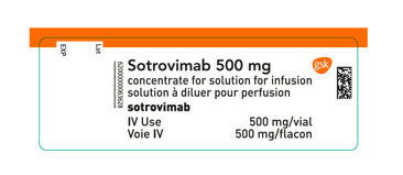 Appendix A - European French/English Vial Label